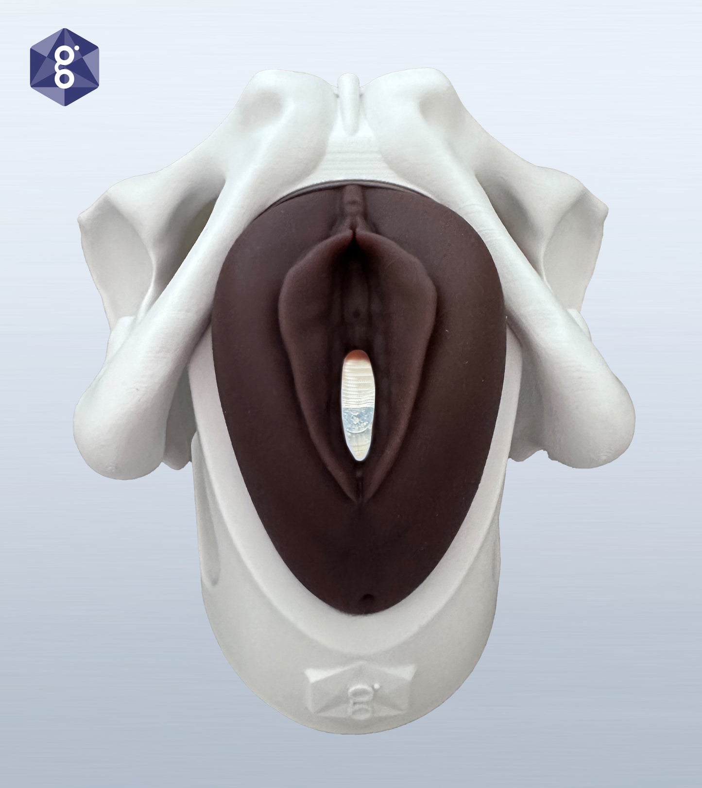 Iris - Pessary & Device Demonstration Model