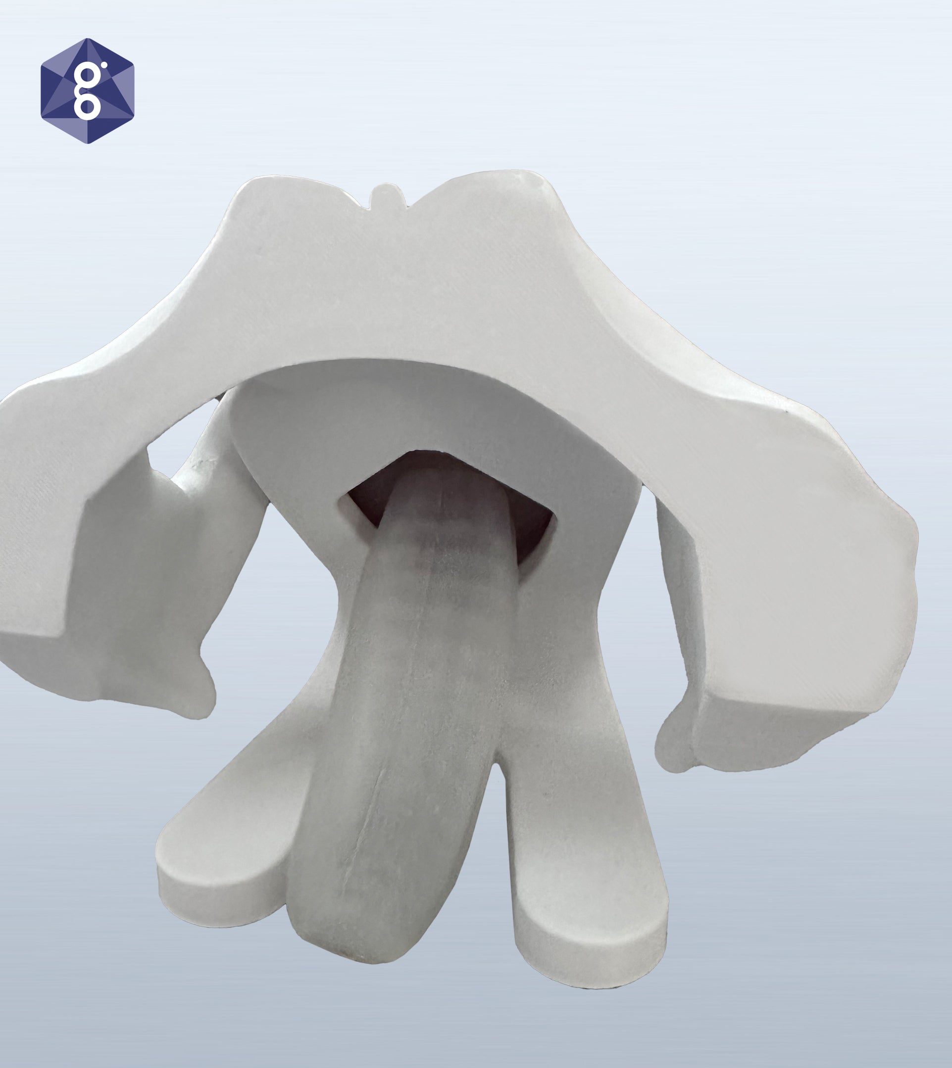 Iris - Pessary & Device Demonstration Model – Pelvic Health Supplies