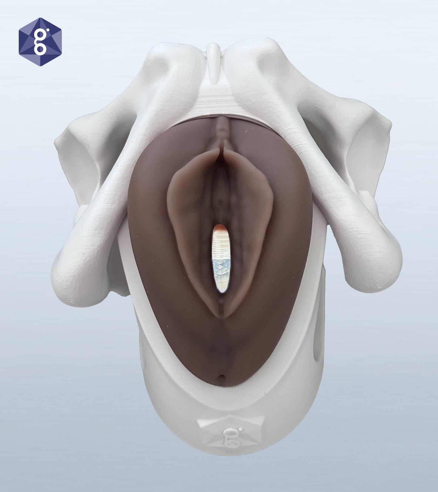 Iris - Pessary & Device Demonstration Model